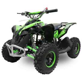 miniQuad Avenger E-Start 49cc R6