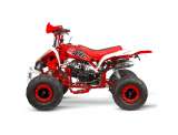 Quad NITRO SPEEDY 125cc R7 Auto