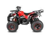 Quad 125cc TORONTO R8