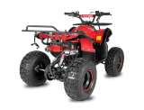 Quad 125cc TORONTO R8