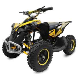 miniQuad NITRO AVENGER CARDAN 1200W R6