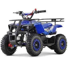 miniQuad NITRO DUSTY 49cc R6