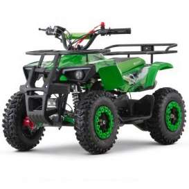 miniQuad NITRO DUSTY 49cc R6