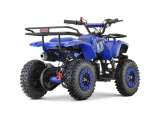 miniQuad NITRO DUSTY 49cc R6