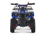 miniQuad NITRO DUSTY 49cc R6