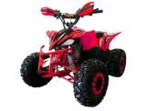 miniQuad KF88 110cc Malcor