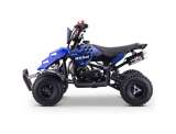 miniQuad Gasolina 49cc ROAN RAPTOR