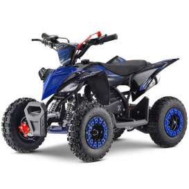 miniQuad NITRO Replay 49cc R6