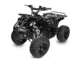 Quad 125cc TORONTO R8